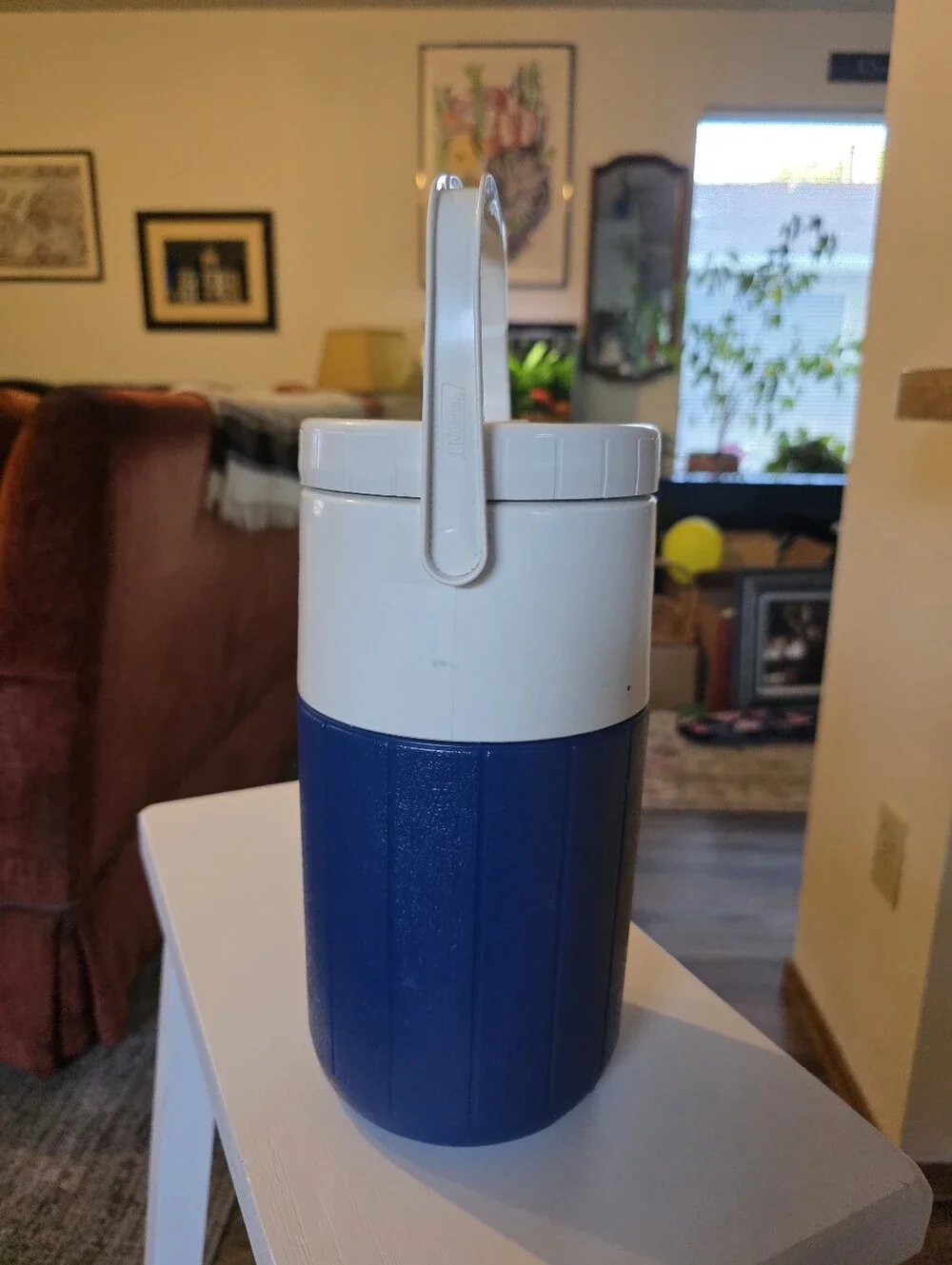 Coleman this water